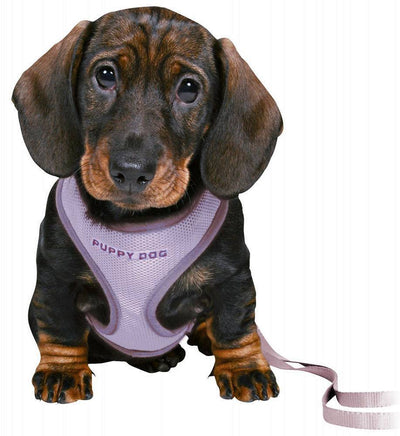 Trixie Junior Soft Harness S 10mm 2mt Lilac