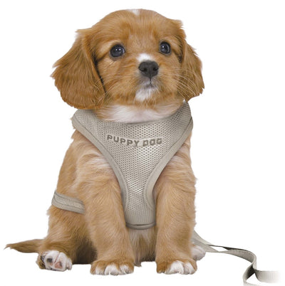 Trixie Junior Soft Harness M-L 10mm 2mt Grey