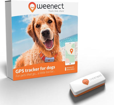 Weenect GPS Tracker For Dogs XS White