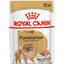 Royal Canin Dog Breed Pomerian Adult 85gr