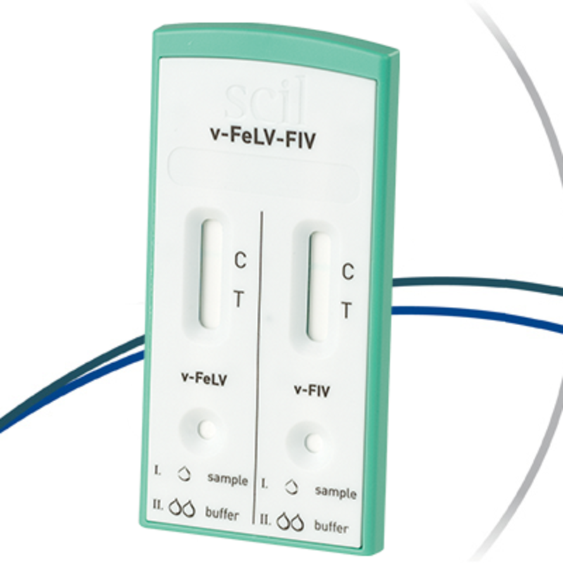 Scilvet Felv Fiv Test