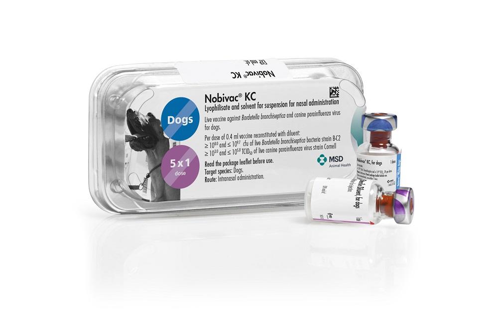 MSD Vaccine Nobivac Kennel Cough