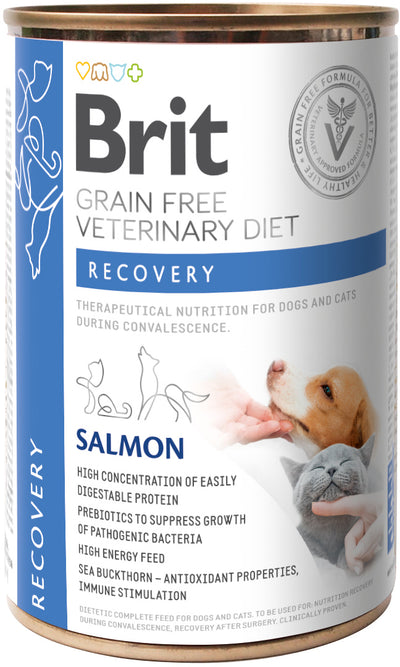 Brit Dog VD Recovery Salmon Wet 400gr