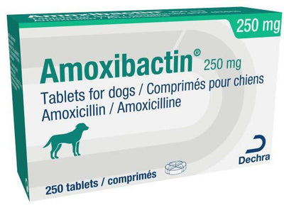 Ast Amoxibactin 250mg 10tabs