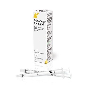 Ast Cat Novacam 0.5mg/ml 10ml