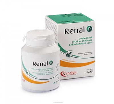 Candioli Renal P Powder 70gr